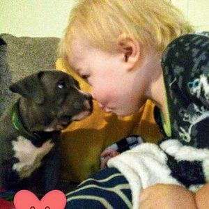 Meet your Posher, Chad